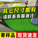 IGIFTFIRE simulated lawn carpet artificial artificial balcony floor mat kindergarten green outdoor fake grass plastic turf decoration 3 cm spring grass style 2 meters wide 0.5 meters long 1 square meter