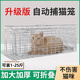 Fully automatic cat trap and cat catching artifact Extra large pedal type folding cat catching cage to rescue stray cats Large thickened cat catching artifact Can hold 1-15 Jin Jin is equal to 0.5 kg