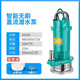 Pupan Pompe submersible DC à débit élevé Pupan 48V60V72V Légumes d'arrosage 3 pouces 4 pouces petits 1 pouces 4872V universel 400W7 mètres