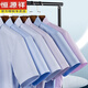 Hengyuanxiang reines Baumwollplaid-Hemd-Hemd von Männern, nicht Eisen-Sommer-New Business Casual Herren-Baumwoll-Baumwoll-Hemd-Hemd kurzärmeliges Hemd kurzärmelig DX66630 Stern (neues Upgrade DP in 38 165 [Gewicht 100 Jin [Jin gleich 0,5 kg] -125 Jin [Jin gleich 0,5 kg] kg] kg]