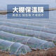 Jiayou agricultural transparent plastic film for small sheds for growing vegetables, agricultural special film, plastic cloth insulation mulch film to prevent cold, 4 wires, special film for small sheds, 2 meters wide and 1 meter long