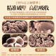 康象【有机蓝帽】破壁灵芝孢子粉增强免疫力林芝中老年人营养品送父母 礼盒装500克【送礼】