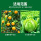 Thompson Julijian 10% gibberellic acid ester, cabbage fruit and vegetable production increase, drought resistance and disease resistance regulating growth agent Julijian 4g*10 bags