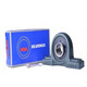 NSK bearing UCP205