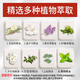 Zhimu Shi nasal suction device baby snot cleansing nose booster children nasal congestion artifact newborn children Zhimu Shi nasal suction device + nasal elf nasal elf nasal ejaculation patch