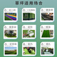 Moyi simulated lawn carpet, fake turf, green plastic enclosure, artificial grass bedding, kindergarten artificial floor mat, outdoor 20mm encrypted grass, high quality green bottom, 3 meters wide and 4 meters long