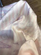 裁雨留虹冰丝短袖短裤睡衣女夏季2025新款可爱卡通蝴蝶结套装可外穿家居服 13559 花边kitty M