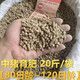 Zhengda Zhengda medium pig pellet full price compound feed 80~120 days old complete nutritional pig feed grain medium pig full price medium pig feed 20Jin Jin is equal to 0.5kg 80 to 120 days old