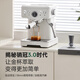 Petrus [National Subsidy] Coffee Machine Italian Concentrated Household Small Semi-Automatic Steam Milk Froth PE3833 Sea Salt Small Formula