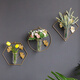 Wall decoration pendant wall hydroponic vase wall hanging creative restaurant wall wall decoration pendant home living room back main picture three-piece set B type shopkeeper