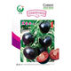 Black Pearl Cherry Tomato Seeds Four Seasons Balcony Potted Plants Easy to Grow Black Gem Tomato Fruit Type Vegetable Seeds Black Pearl Little Saint Tomato Seeds Original Pack About 106 + Song Fertilizer