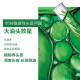欧莱雅   L'OREAL洗发水茶树植萃去屑洗发露套装无硅油清爽控油舒缓头皮保湿留香 茶树去屑净油洗发露 500ml
