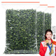 印象堂 特级原产铁观音500g2025新茶清香型精美袋装乌龙茶礼品自己喝