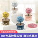 科学小实验套装种植魔法树小学生diy手工制作儿童玩具 水晶魔法树套装-黄色