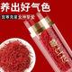北京同仁堂【特级真品】正宗伊朗藏红花泡水喝泡茶野生中药材滋补养生藏红花 【特级】真品藏红花[发2罐]