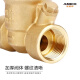 埃美柯（AMICO）719黄铜过滤可调减压阀Y12X-16T家用自来水调压降压稳压阀 DN15 (4分)