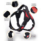 Aladdin beast dog leash leash dog harness vest type dog leash dog walking large dog Labrador shepherd golden retriever puppy explosion-proof harness + dog leash black M code recommended 18-40 Jin Jin equals 0.5 kg