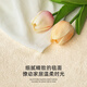 地毯卧室床边毯2024少女异形地垫可洗房间床尾毯加厚长条 绚烂-11964 90*240cm