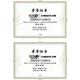 中诺W699全网通4G5G插卡无线座机家用老人移动联通电信广电固定电话 W699白色