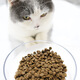 NetEase Selected Cat Food 20 Kitten Natural Grain-Free Full Price 30 Cat Food Increase Adult Cat 18kg 10kg Classic 2.0 1.8kg 1 Pack
