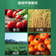 40% ethephon walnut banana persimmon tomato mango rice ripening agent pesticide plant growth regulator 1000g