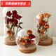 
Cork immortal flower glass cover rose ornament blind box dustproof dry flower glass cover display box cylindrical 1517cm cork base
