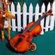 Scott Caos Violin Live -Sendungsauswahl für die Anfängerpraxis der Schüler für die Anfänger für die Handgefertigte Kinder der Kinder in der gesamten Griolin P10 4/4 (Höhe über 145 cm)