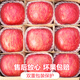 Jingdi Dalochuan apple net weight 8.5Jin Jin is equal to 0.5kg single fruit 250g + Shaanxi Red Fuji apple fruit straight from the source