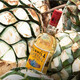 Aubecks sechs große Basisweine DIY Cocktails und ausländische Weine, Whisky Brandy Vodka Tequila Gin Flasche importiert [fünf große Basisweine 2] 5 Flaschensets, um Geschenke zu geben