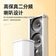 爱国者30W防水音柱室外音响功放 店铺户外专用壁挂音箱学校公共广播喇叭商用