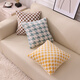 Versatile plush pillow cover without core Living room sofa pillow Office back lumbar pillow Bedside cushion cover Tiffany Green - double-sided checkerboard 50x70cm cover + core