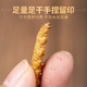 聚和泰 头茬冬虫夏草礼盒60管20g国庆中秋节日送父母长辈健康滋补营养品