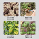 Soil loosening agent, loosening essence, no deep tillage, soil activator, universal fertilizer, imported raw materials, 100 times effective. 5Jin Jin is equal to 0.5kg.