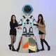 Luminous robot model large ornaments space rabbit sculpture living room bar ktv flying saucer door decoration MC-robot height 2.19 meters fixed jin