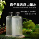 Zhenwuquan Natural Mountain Spring Agua 310ml*14 botellas/caja 983 metros Bajo Deuterio Agua potable de Alcalina débil bajo Cold Spring Rock of Changbai Mountain Range 310ml*14 Botellas*4 Cajas
