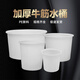 法欧诺牛筋大水桶塑料桶加厚大容量家用带盖圆桶储水桶酿酒发酵桶叉车桶 500牛筋圆桶1030*850*825白色