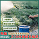 Portable sprayer for spraying pesticides, fully automatic electric retractable spray gun for watering flowers, rechargeable disinfection, new sprayer, 2800mA gravity filter + 2m water pipe