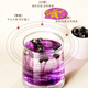 Fudonghai Black Wolfberry Mulberry Box 12 latas de regalos para padres Tonic Group nutricional compra té de salud práctico
