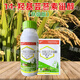 14-Hydroxybrassinosteroid alleviates phytotoxicity, prevents cold and freeze-resistant rice plant crop growth regulator, 15 packs, 10ml, add 30Jin of water per pack, equal to 0.5kg