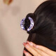 Two Worlds High-end 2025 New Top Half-Tie Small Clip Women's Back Hairpin Exquisite Ponytail Clip Hairpin Headwear Purple Clip