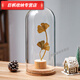 
Cork immortal flower glass cover rose ornament blind box dustproof dry flower glass cover display box cylindrical 1517cm cork base