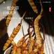 Fudonghai Cordyceps sinensis 4 grams gift box - about 3 pieces/g12 tubes Gift tonics for elders