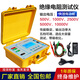 ZY2671C10000V数字电子兆欧表绝缘电阻测试仪绝缘高精度摇表 KD2677C (5000V)  含线 带吸收