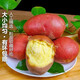 Hebei red-skinned large potatoes, fresh yellow-heart potatoes, freshly dug potatoes, ground eggs, potato noodles, hot pot wholesale, red-skinned large potatoes, 3Jin Jin is equal to 0.5kg, net weight, single fruit 150g+