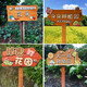 Xunliba flower and grass sign prompt sign class vegetable garden sign erected park kindergarten vegetable garden ground sign customization customized private shooting without delivery