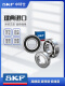 SKF importierte Lager Hochgeschwindigkeit Stumm 6207 6208 6209 6210 6211 6212 6213-2z/RS1 6210-2rs1 [Gummi versiegelt] Lagerhaus Direktschiff