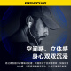 品胜（PISEN） type-c耳机有线半入耳式ipad平板电脑吃鸡苹果16iPhone15ProMaxPlus华为mate40p40小米红米手机