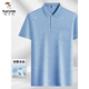 
Woodpecker (TUCANO) Middle-aged Men's Lapel Short Sleeve T-shirt Daddy Summer Thin Polo Shirt Middle-aged Ice Silk Half Sleeve Men Old Man T Ice Silk-9855 Gray Real Pocket 3XL 56/185