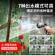 
Delixi pump watering artifact watering machine rechargeable agricultural vegetable field irrigation home outdoor land irrigation artifact can connect battery 698AF four-turbo large flow 10 meters