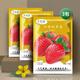 Strawberry seed cream strawberry seedlings for planting indoor and outdoor balcony vegetables and fruits potted flower seeds Dandong Spring Four Seasons Rainbow Field Four Seasons Milk Strawberry Seeds 150 capsules * 3 packs
